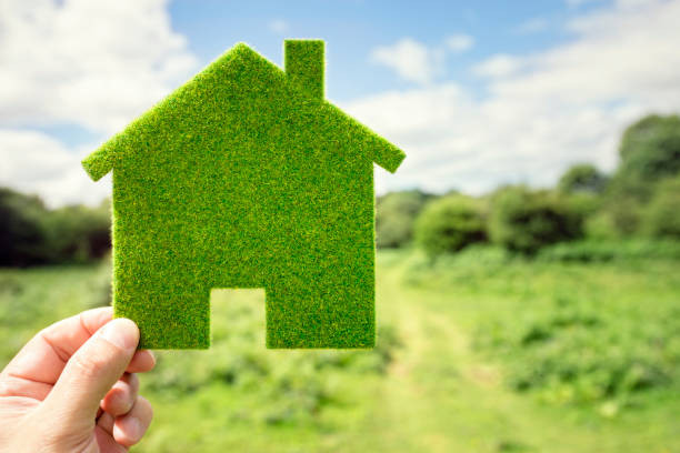 Land & Real Estate